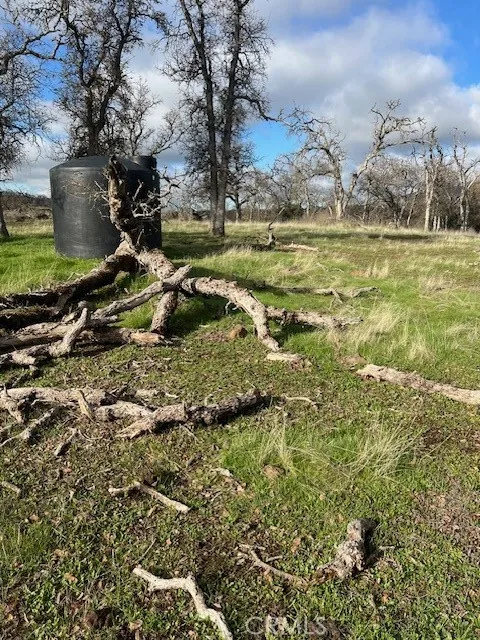 0 Bobcat Road Coarsegold, CA 93614 - Photo 9 of 14 a view of a field with an trees