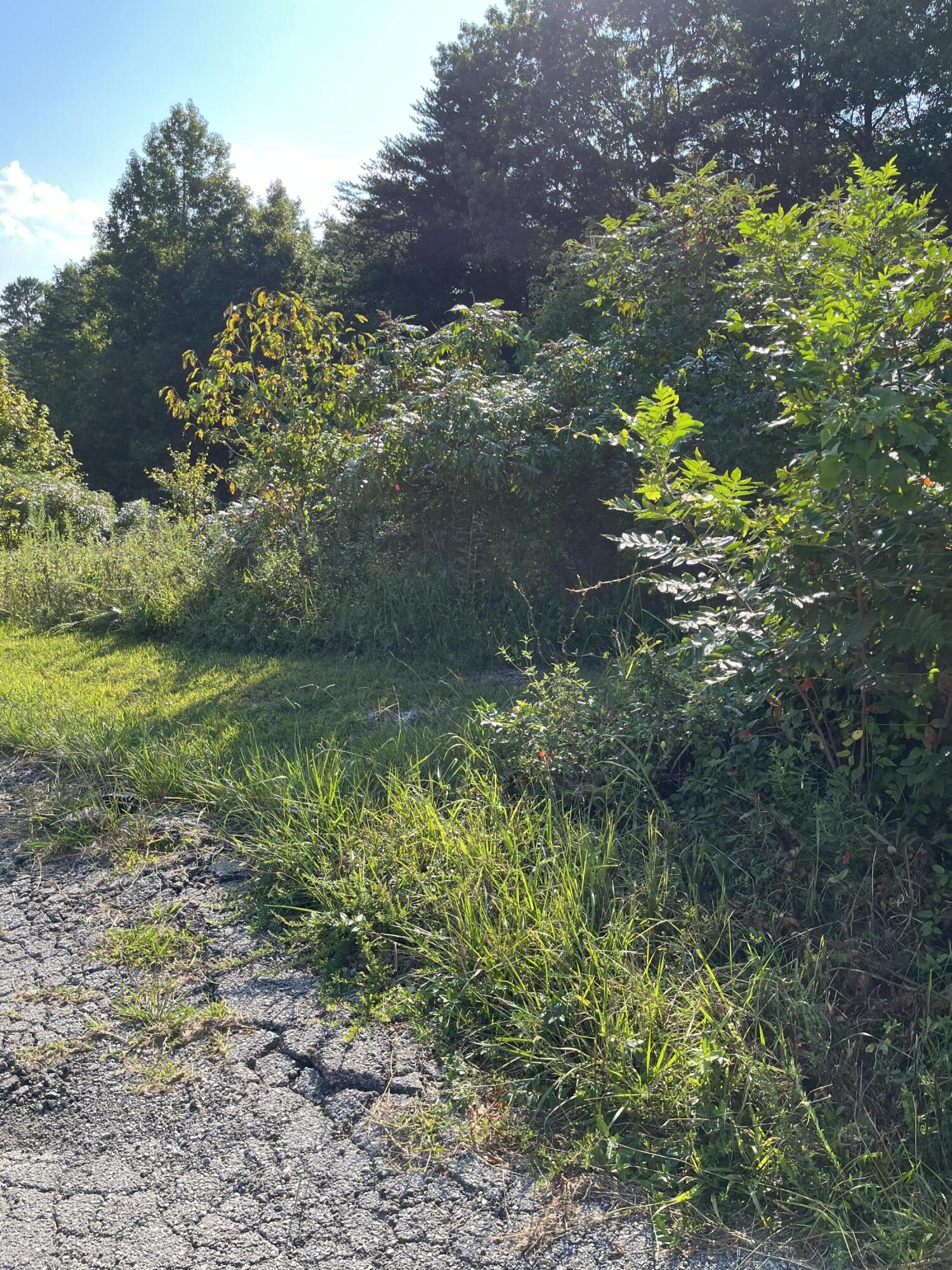 999 Buc Road Williamsburg, KY 40769 - Photo 2 of 4 IMG_1535