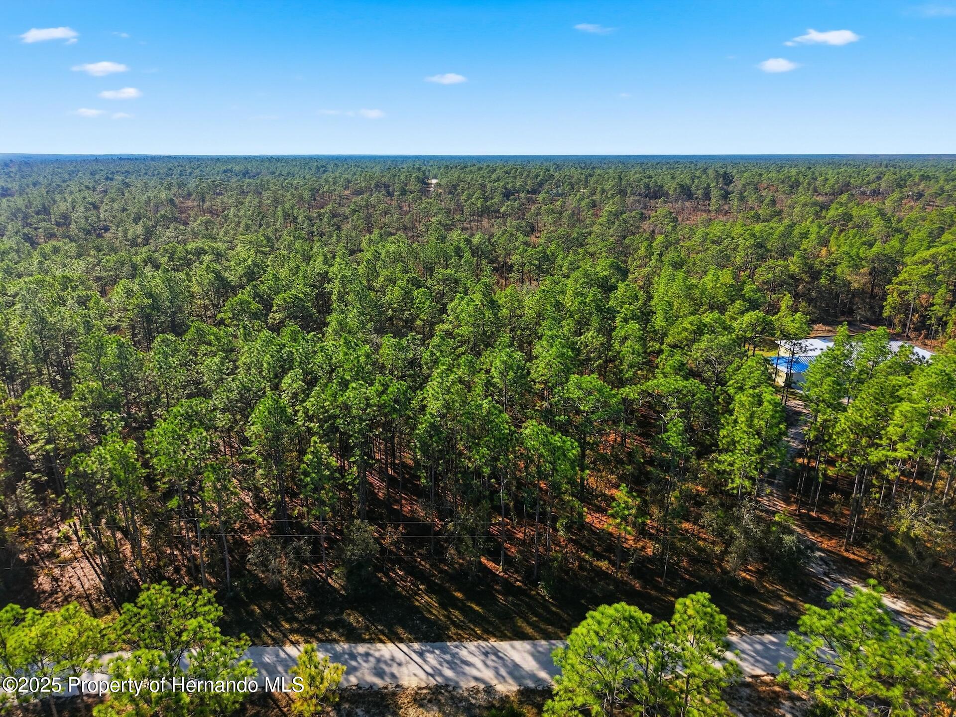 0 Raschke Run Weeki Wachee, FL 34614 - Photo 2 of 9 Gallery Image 2