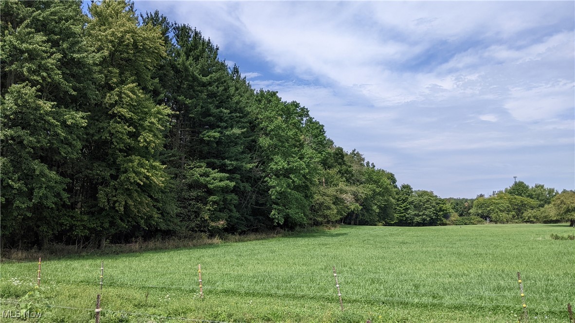 9376 Daniels Road Seville, OH 44273 - Photo 13 of 23