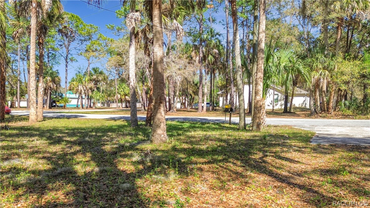 416 North Hourglass Terrace Crystal River, FL 34429 - Photo 52 of 62