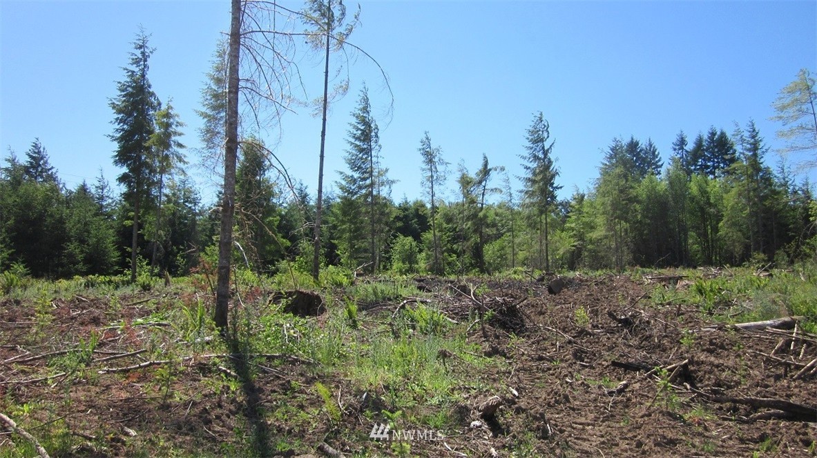 2 Jones Road Winlock, WA 98596 - Photo 12 of 25 Gallery Image 12