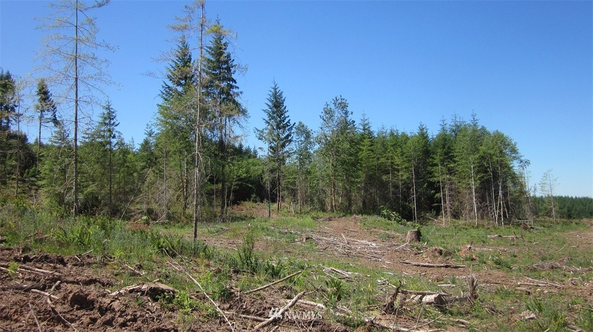 2 Jones Road Winlock, WA 98596 - Photo 13 of 25 Gallery Image 13