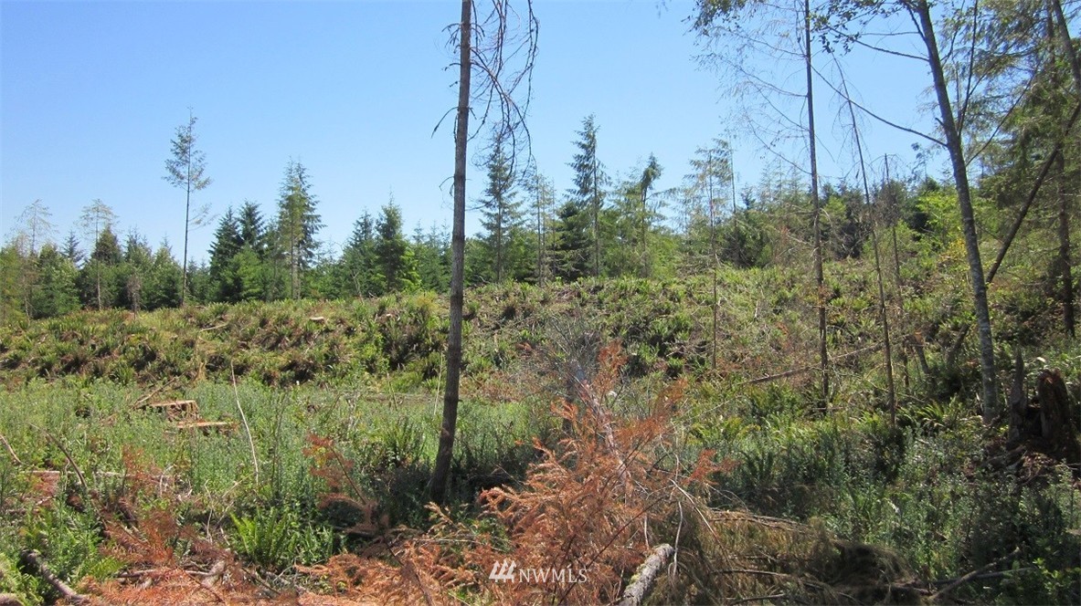 2 Jones Road Winlock, WA 98596 - Photo 14 of 25 Gallery Image 14