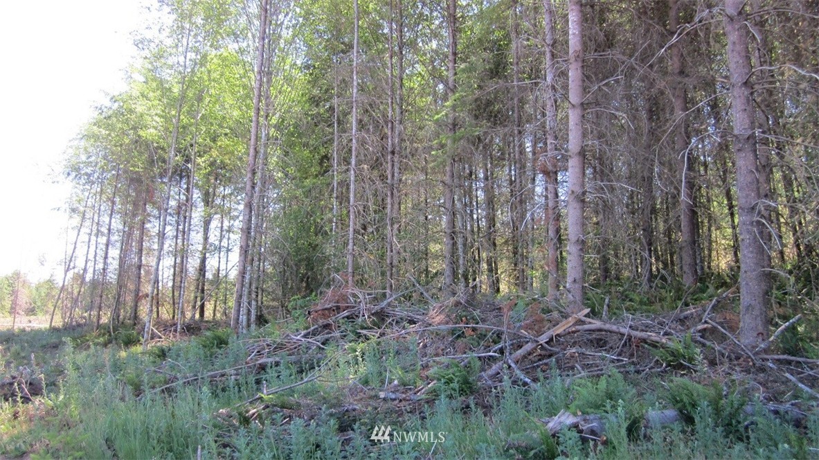 2 Jones Road Winlock, WA 98596 - Photo 15 of 25 Gallery Image 15