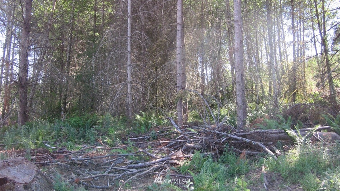 2 Jones Road Winlock, WA 98596 - Photo 16 of 25 Gallery Image 16