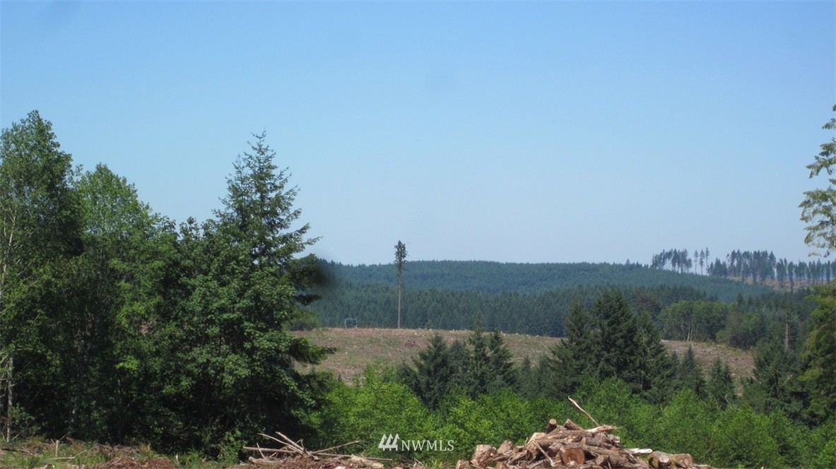 2 Jones Road Winlock, WA 98596 - Photo 23 of 25 Gallery Image 23