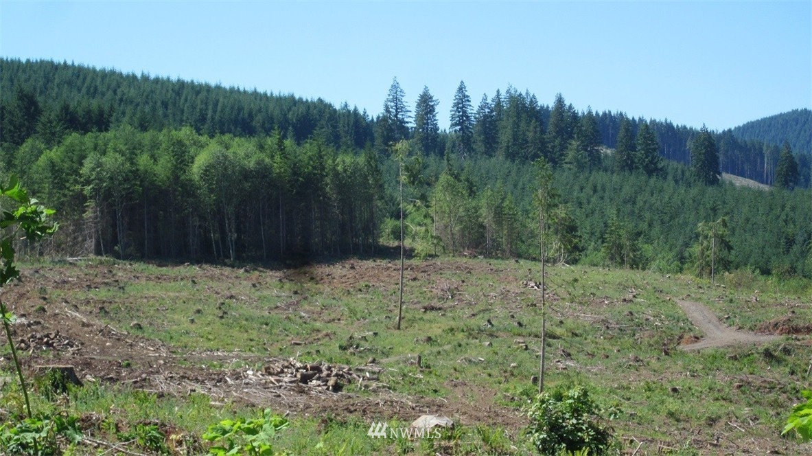 2 Jones Road Winlock, WA 98596 - Photo 24 of 25 Gallery Image 24