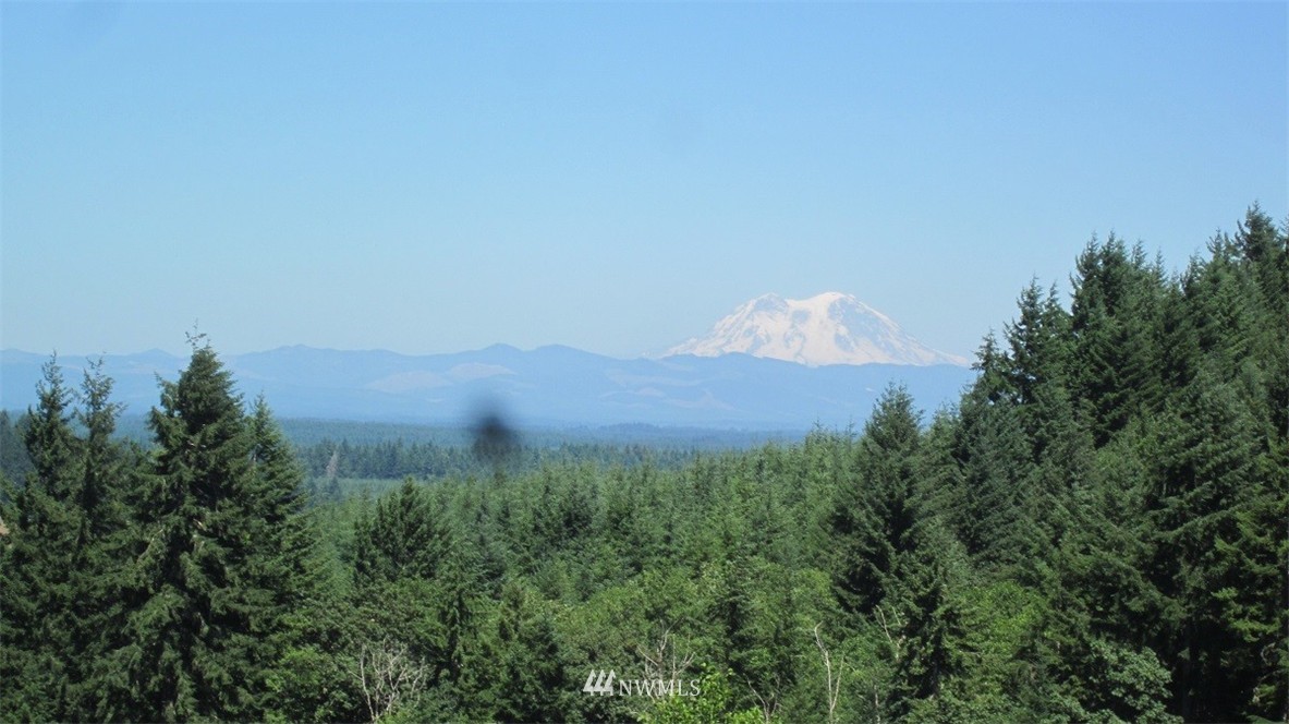2 Jones Road Winlock, WA 98596 - Photo 5 of 25 Gallery Image 5