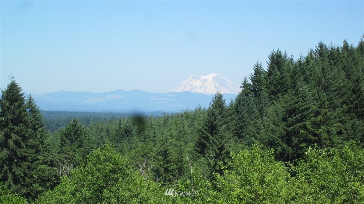 2 Jones Road Winlock, WA 98596 - Photo 6 of 25 Gallery Image 6