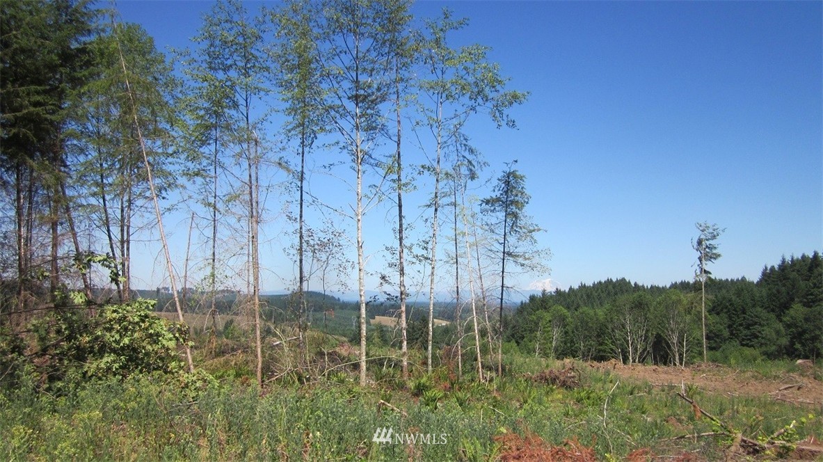 2 Jones Road Winlock, WA 98596 - Photo 7 of 25 Gallery Image 7