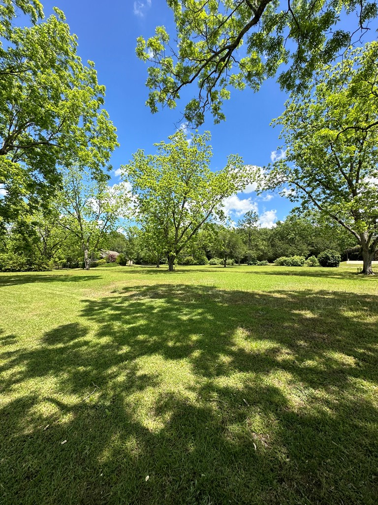 3845 Old Atmore Road Flomaton, AL 36441 - Photo 8 of 9