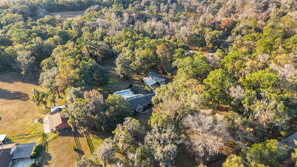 9080 Southwest 19th Avenue Road Ocala, FL 34476 - Photo 34 of 100