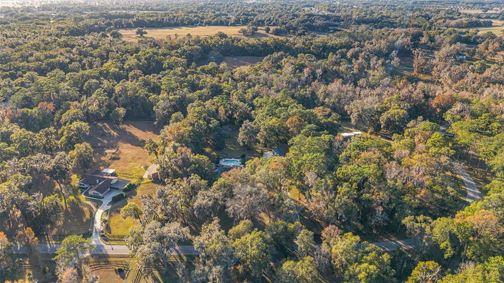 9080 Southwest 19th Avenue Road Ocala, FL 34476 - Photo 51 of 100