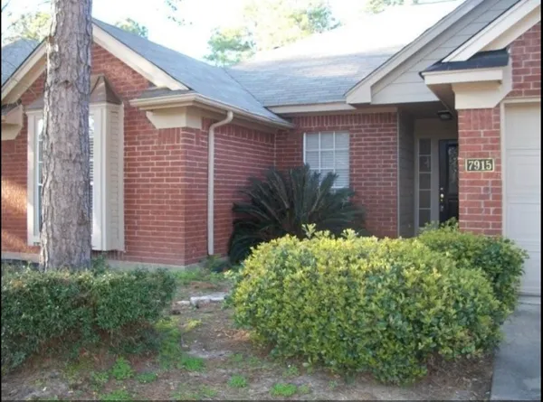 a view of a backyard with plants