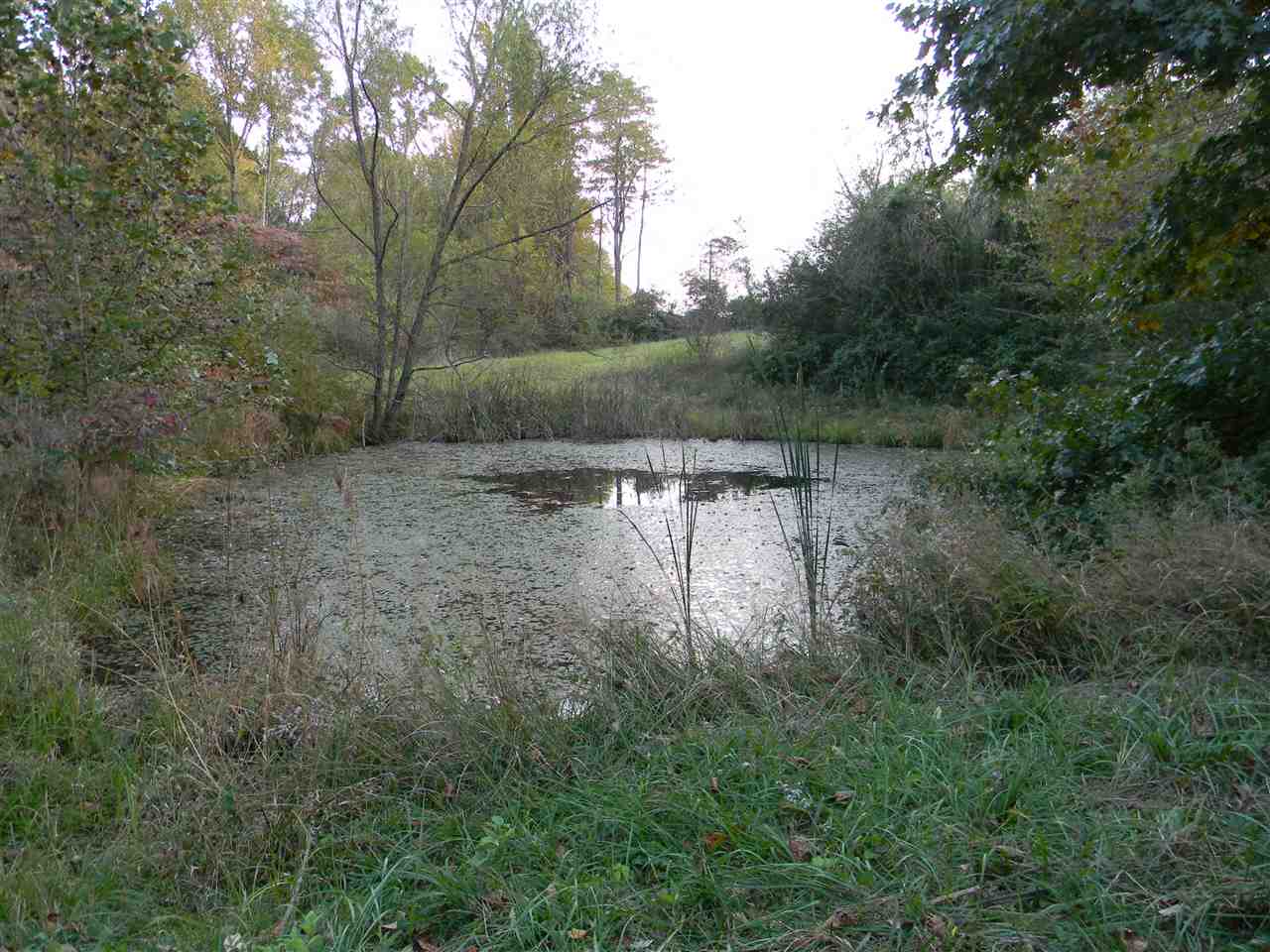 2576 Vance Road Spencer, IN 47460 - Photo 24 of 36 Gallery Image 24