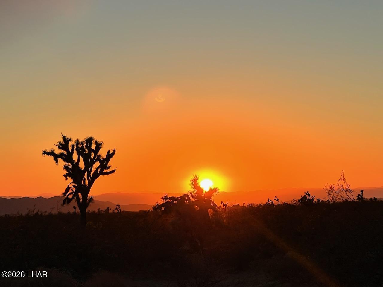123-08-006 South Gene Autry Road Yucca, AZ 86438 - Photo 14 of 15