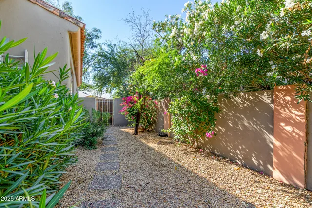 a close up of a flower in a garden