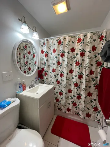 a bathroom with a sink toilet and vanity
