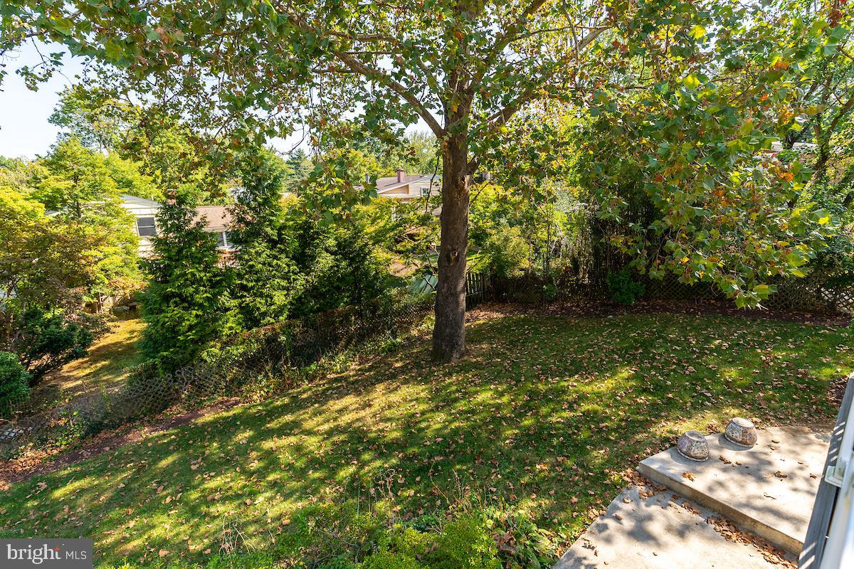 13005 Matey Road Silver Spring, MD 20906 - Photo 43 of 46