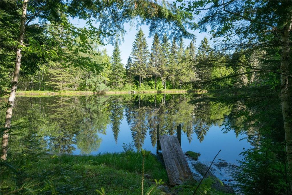 On Jalbert Road Fort Kent, ME 04743 - Photo 9 of 26 Private pond