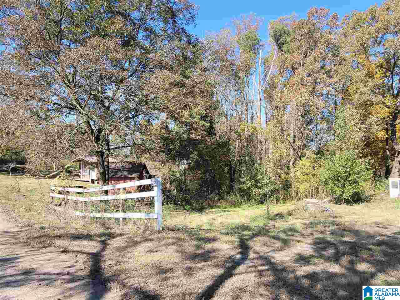 41 Gip Yates Road Blountsville, AL 35031 - Photo 4 of 5