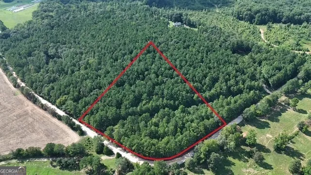 a view of a garden with flowers