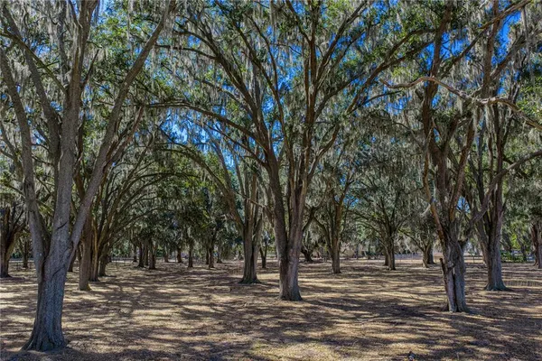$1,600,000 | 808 Old Welcome Road, Lithia, FL 33547