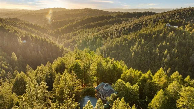 a spacious bedroom with a bed and a couch