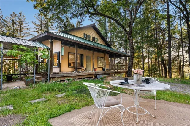 a view of flowers in middle of the green field