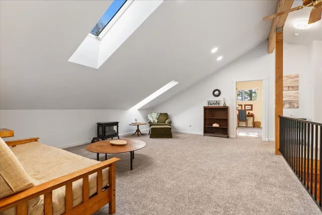 a view of a park with large trees