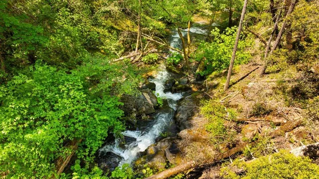 a view of a yard with basketball court