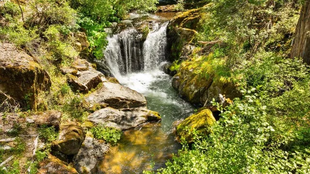 $599,000 | 2840 Shanti Lane, Georgetown, CA 95634