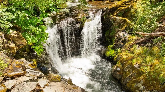 $599,000 | 2840 Shanti Lane, Georgetown, CA 95634