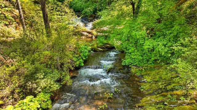 $599,000 | 2840 Shanti Lane, Georgetown, CA 95634