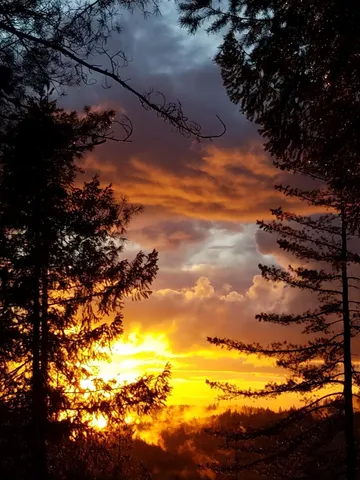 $599,000 | 2840 Shanti Lane, Georgetown, CA 95634