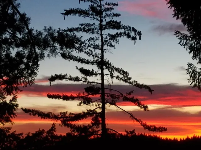 $599,000 | 2840 Shanti Lane, Georgetown, CA 95634