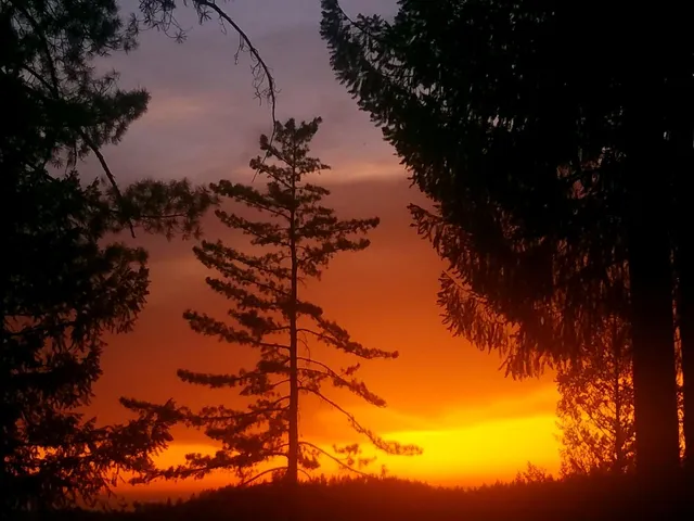 $599,000 | 2840 Shanti Lane, Georgetown, CA 95634