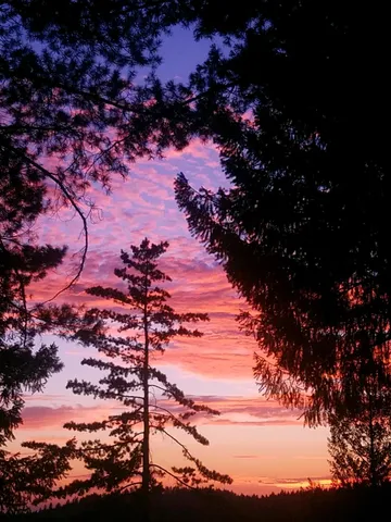 $599,000 | 2840 Shanti Lane, Georgetown, CA 95634