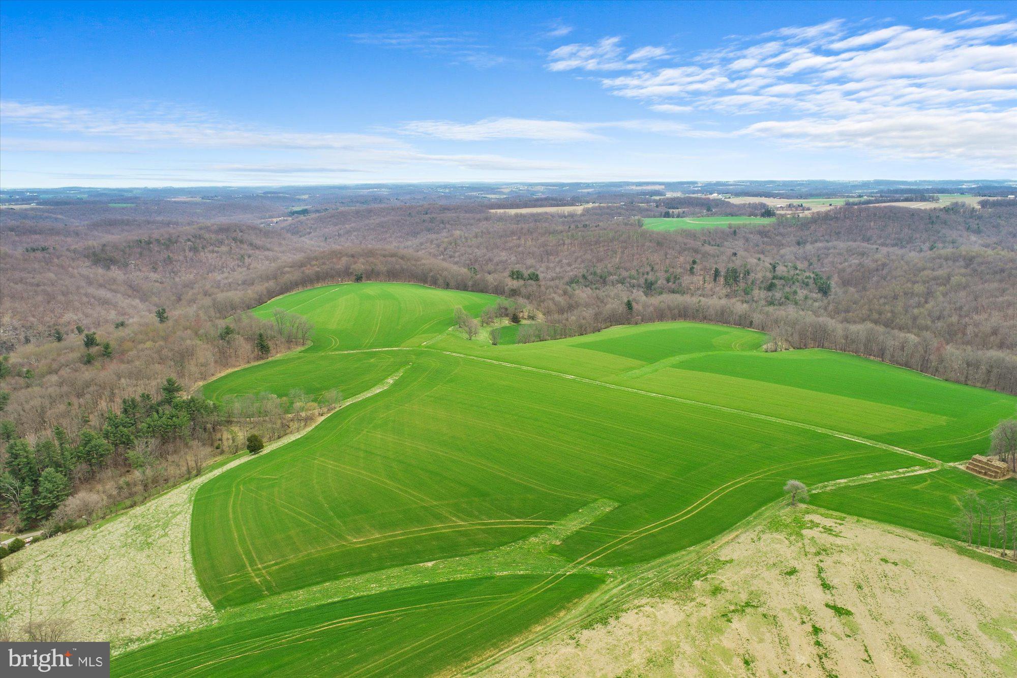 8924 Century Farms Road Felton, PA 17322 - Photo 11 of 63