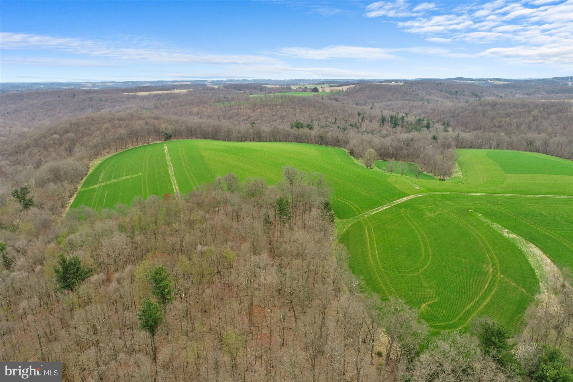 8924 Century Farms Road Felton, PA 17322 - Photo 8 of 63