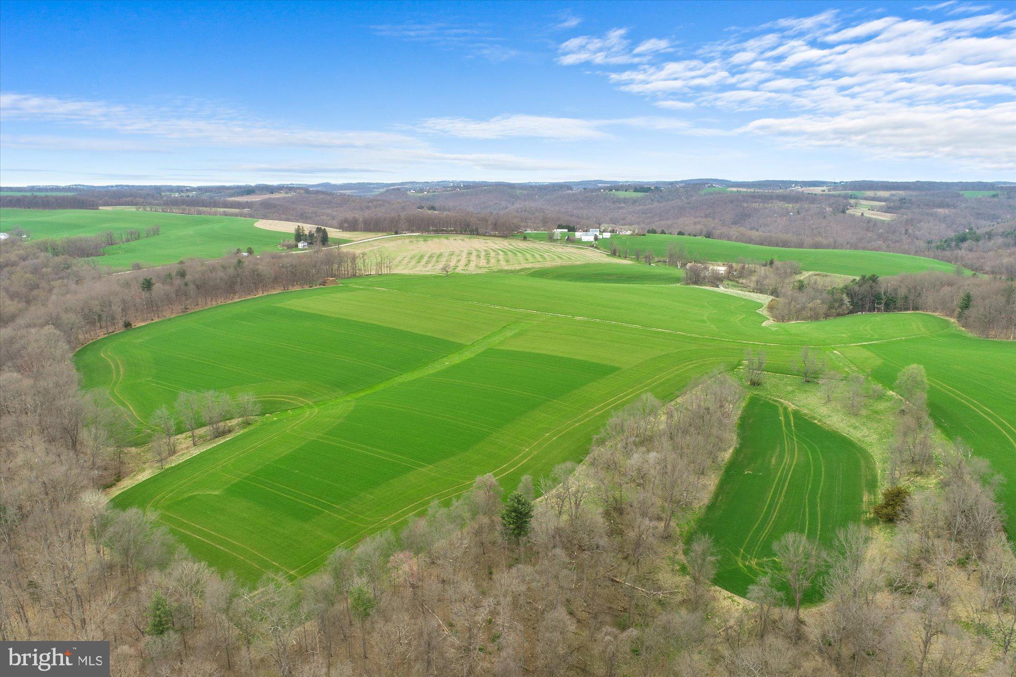 8924 Century Farms Road Felton, PA 17322 - Photo 9 of 63