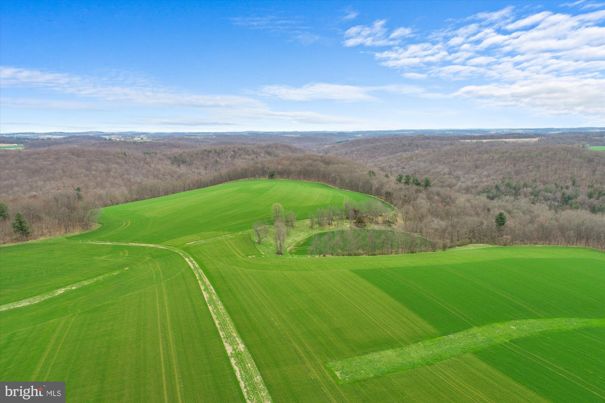 8924 Century Farms Road Felton, PA 17322 - Photo 10 of 63