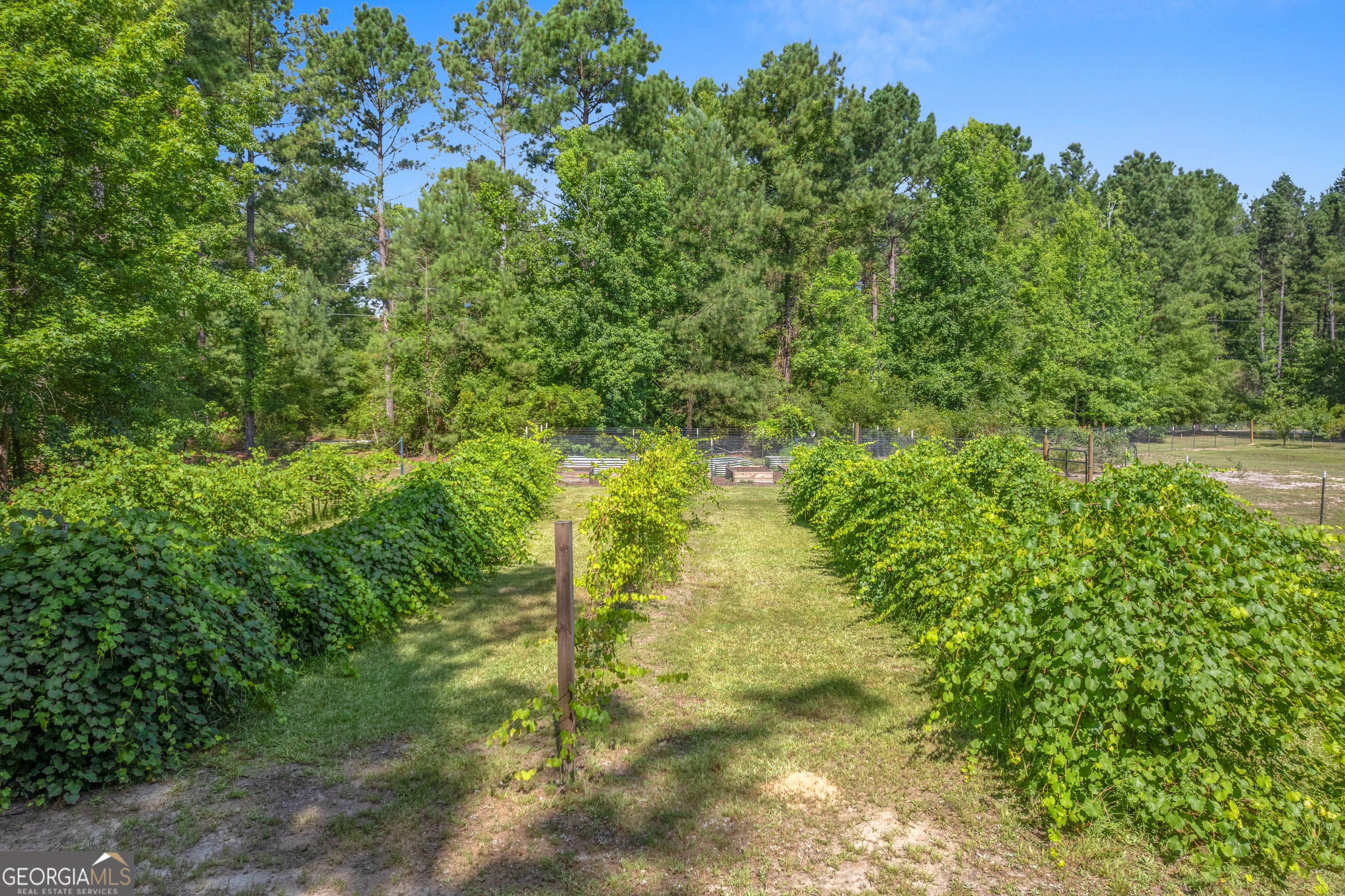 1269 Tarver Road Davisboro, GA 31018 - Photo 20 of 64