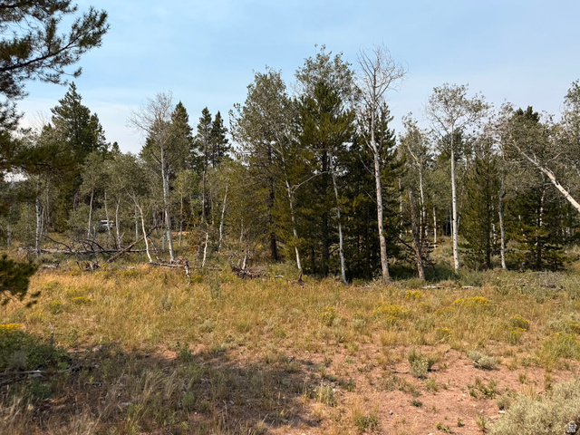 4913 Pinecrest Road Evanston, UT 82930 - Photo 8 of 11 Mature trees, including evergreen and deciduous varieties