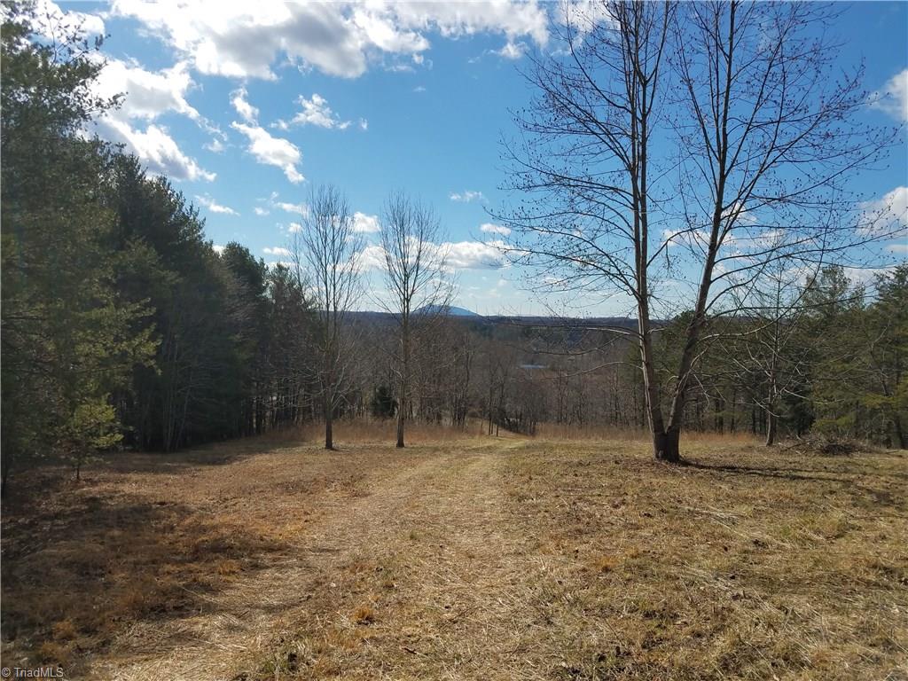 0 Holt Road Mount Airy, NC 27030 - Photo 1 of 30