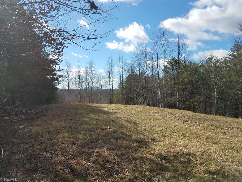 0 Holt Road Mount Airy, NC 27030 - Photo 2 of 30