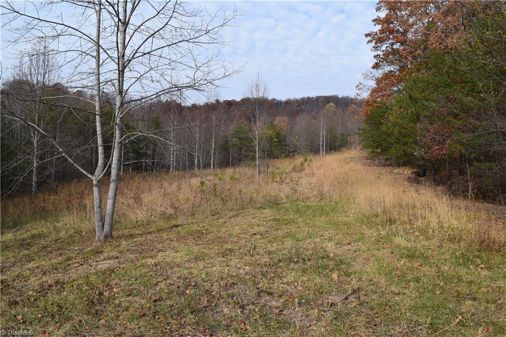 0 Holt Road Mount Airy, NC 27030 - Photo 11 of 30