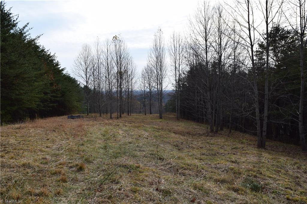 0 Holt Road Mount Airy, NC 27030 - Photo 12 of 30