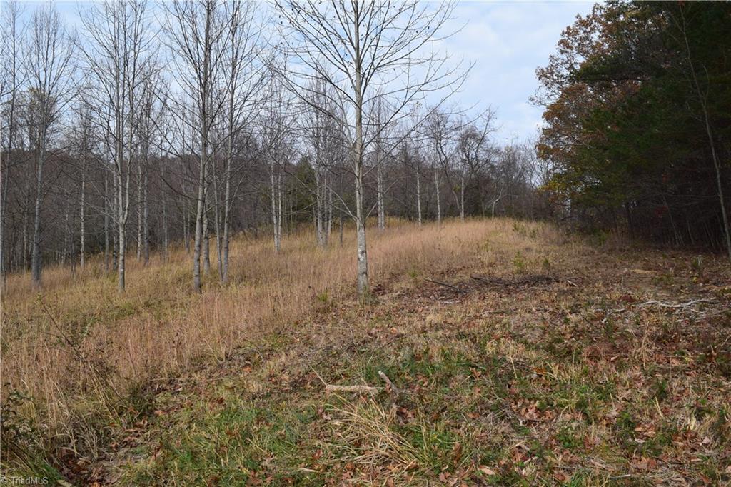 0 Holt Road Mount Airy, NC 27030 - Photo 13 of 30